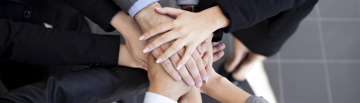 Telmotor, GadMEL, software gestionale,S.I. Soluzioni Informatiche, GadWEB, gestione del magazzino