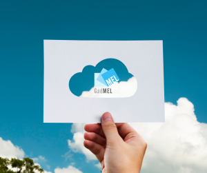 GadMEL in modalità Cloud, GadMEL in clous, gestionale materiale elettrico