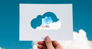 GadMEL in modalità cloud