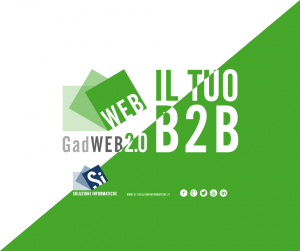 e-commerce b2b, gestionale gadweb