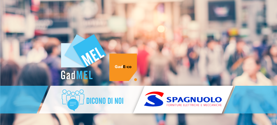 Spagnuolo Srl
